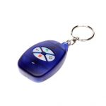 Daljinski Paradox REM1