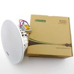 Ugradni plafonski zvučnik DSP5011