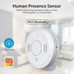Tuya WiFi/ZigBee Human Presence Detector