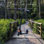 Električni TROTINET DO 80KG ROMOBIL SKUTER - Slika 2