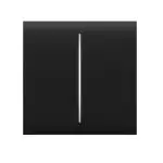 Ajax CenterButton (2-gang)